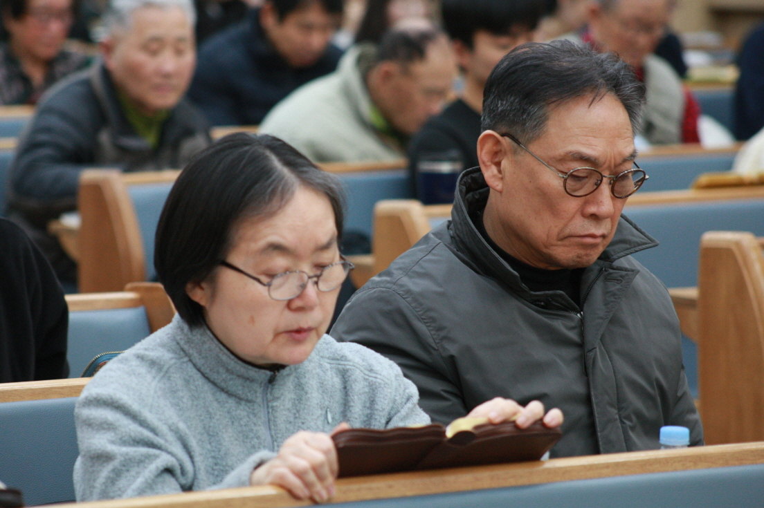 4N8E8000.JPG