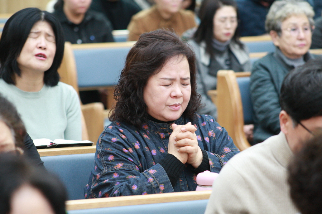 4N8E8700.JPG